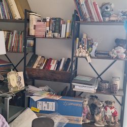 Bookshelves 