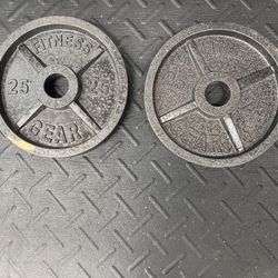 25lb Olympic Plates (pair). 
