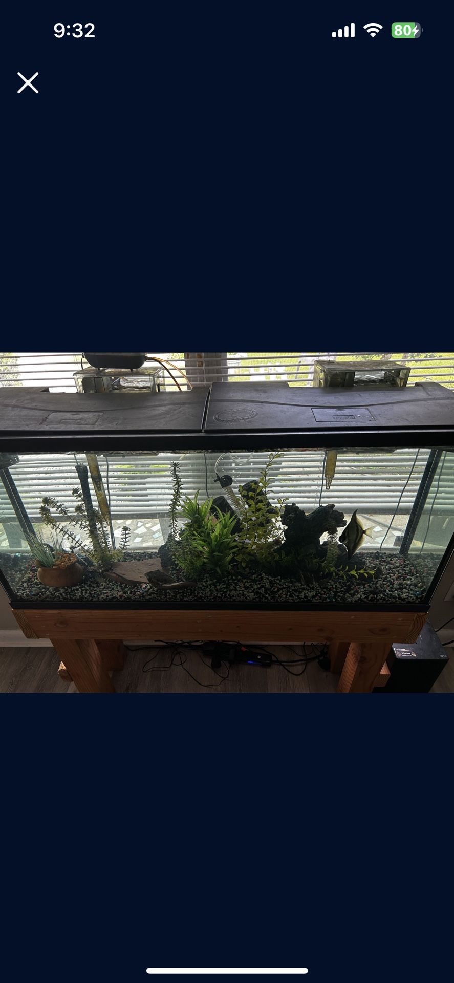 55 Gallon Tank