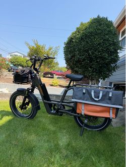 RadRunner 3 Plus - Tuned Up & Lots of Extras
