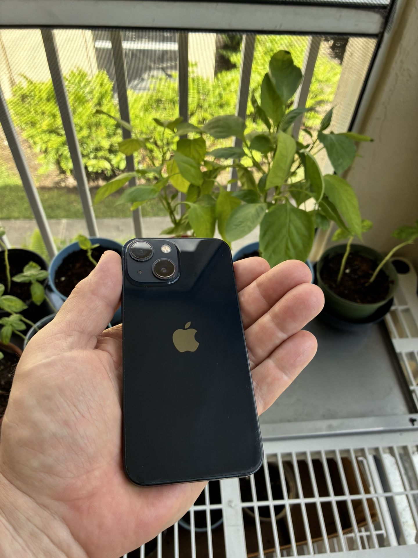 iPhone 13 Mini 128gb Unlocked Black
