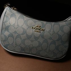 Blue Coach Bag