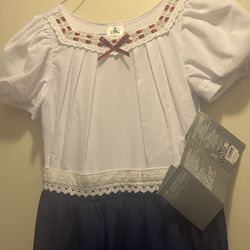 Disney Halloween Costume 