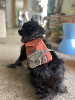 Brand New Dog Clothes- Fancy Dress & Backpack