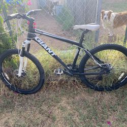 Mountain bike Giant