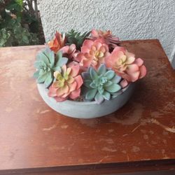 Fake Plant