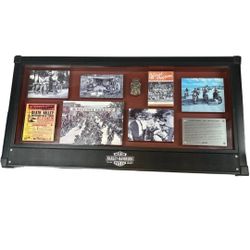 2011 SC Harley Davidson Freedom Of The Open Road Archive Collection Shadow Box Picture