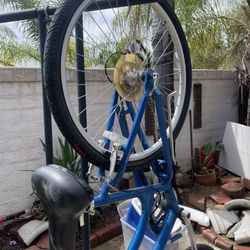 Electra Townie 7D Step-thru Cruising Bike