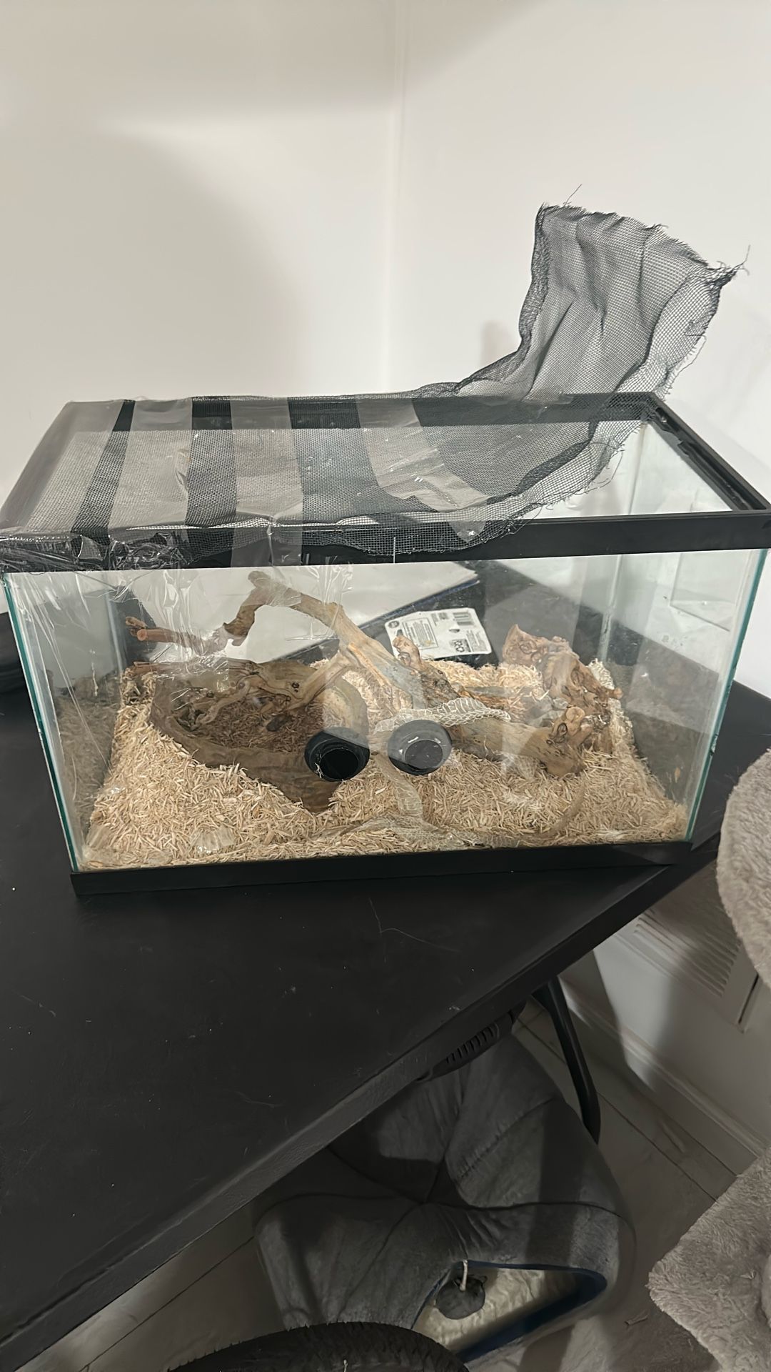 Reptile Enclosure