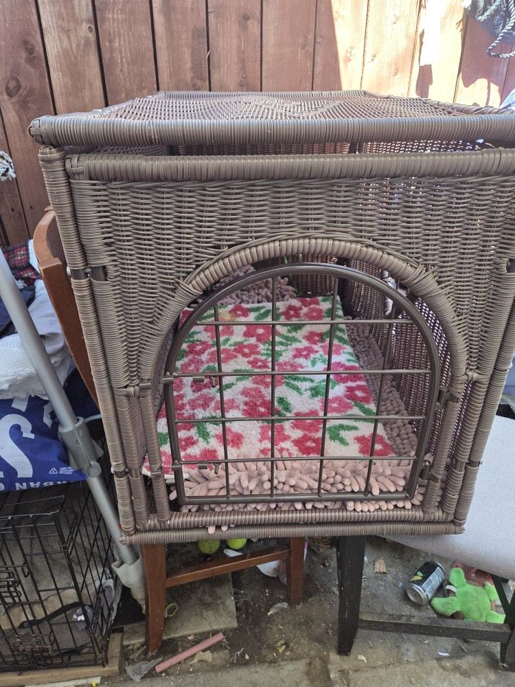 Cesta De Perro