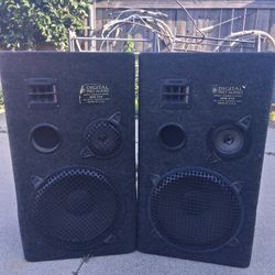 Digital Pro Audio  12” Speakers 