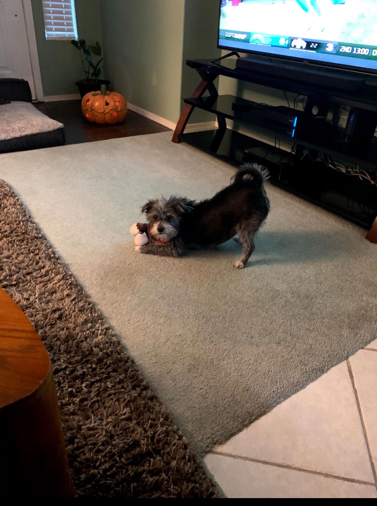 80”+TV stand From RcWilleys