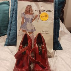 Dorothy Costume With Red Shoes. Dress Is A Small Shoes Are A Size 6