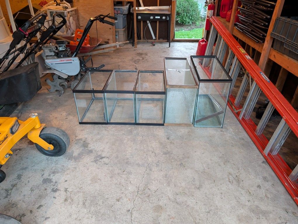 Fish Tanks 
