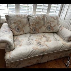 Loveseat Couch