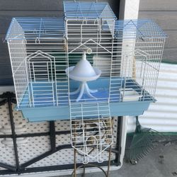 Bird’s Cage 