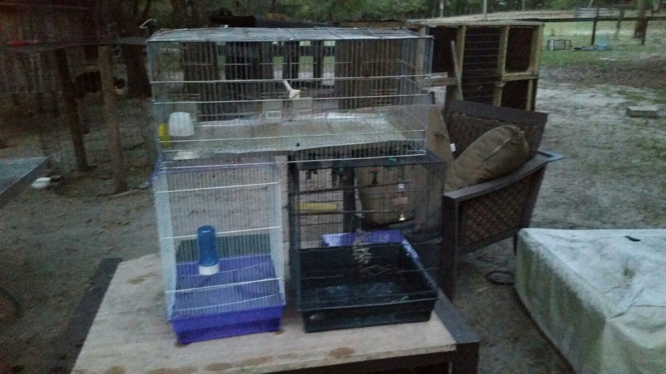 Bird cage $40 for3 cages