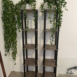 2 Shelves, blanket Ladder & 2 Fake Plants  