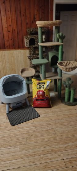 Cat items