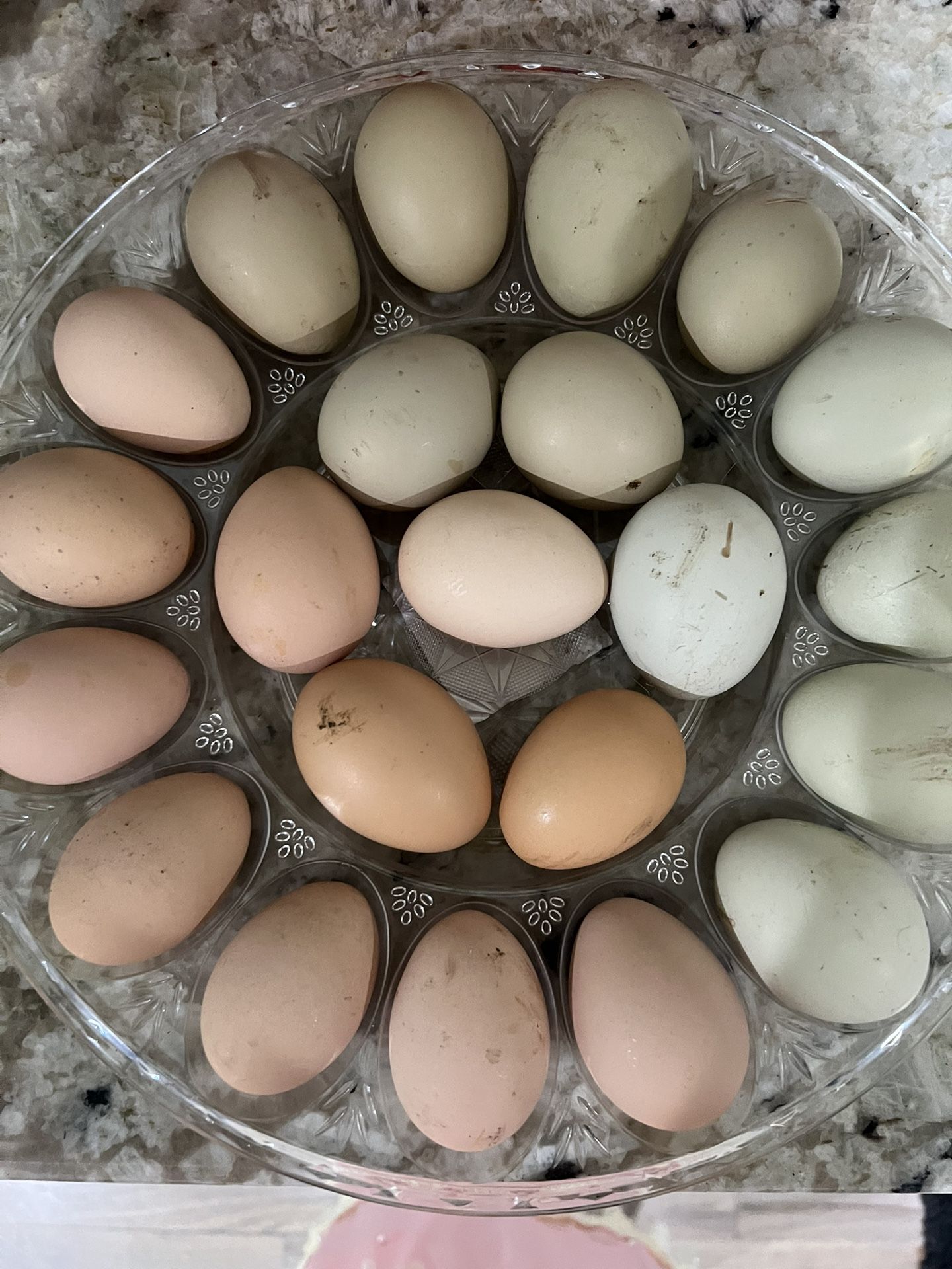 Colorful Eggs For Sale