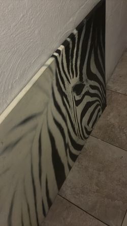 Zebra wall art huge