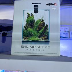 Shrimp Aquarium Set Up