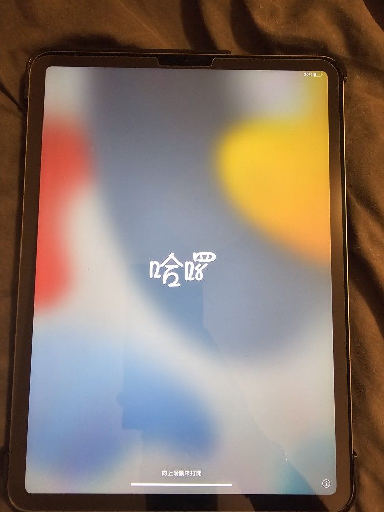 iPad Pro 11 Inch