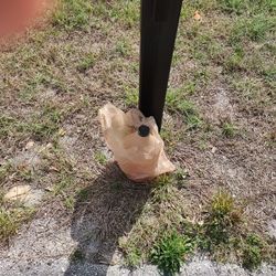 FREE - Muriatic Acid - One Gallon 