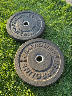 2x45 lb bumper weights $75 firm