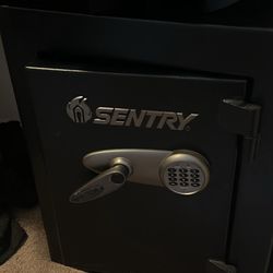 Large Sentry Safe