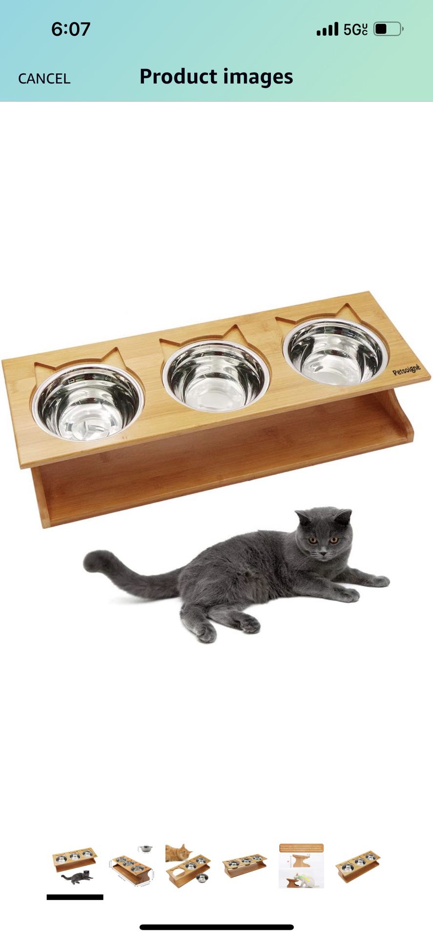 dog and cat bowl