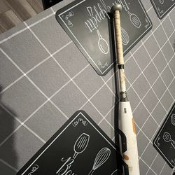 baseball bat