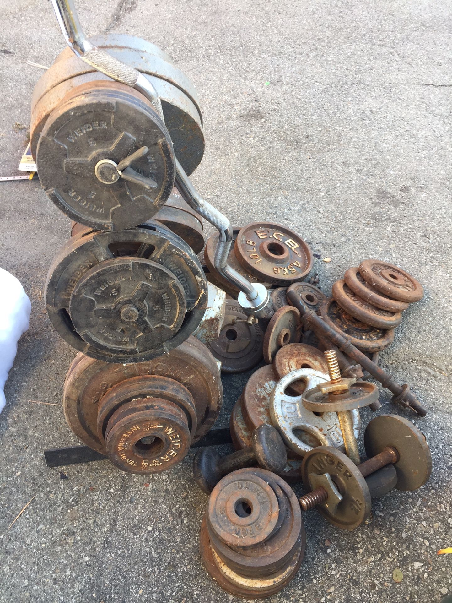 Set of weights Curl Bar Lot