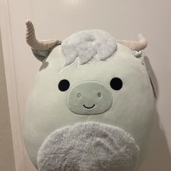 16 Inch Iver Squishmallow