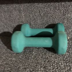 Pair Of 2 Lb Weights   Perfect To Walk With 