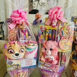 Carebear and Paw Patrol skye Easter Basket