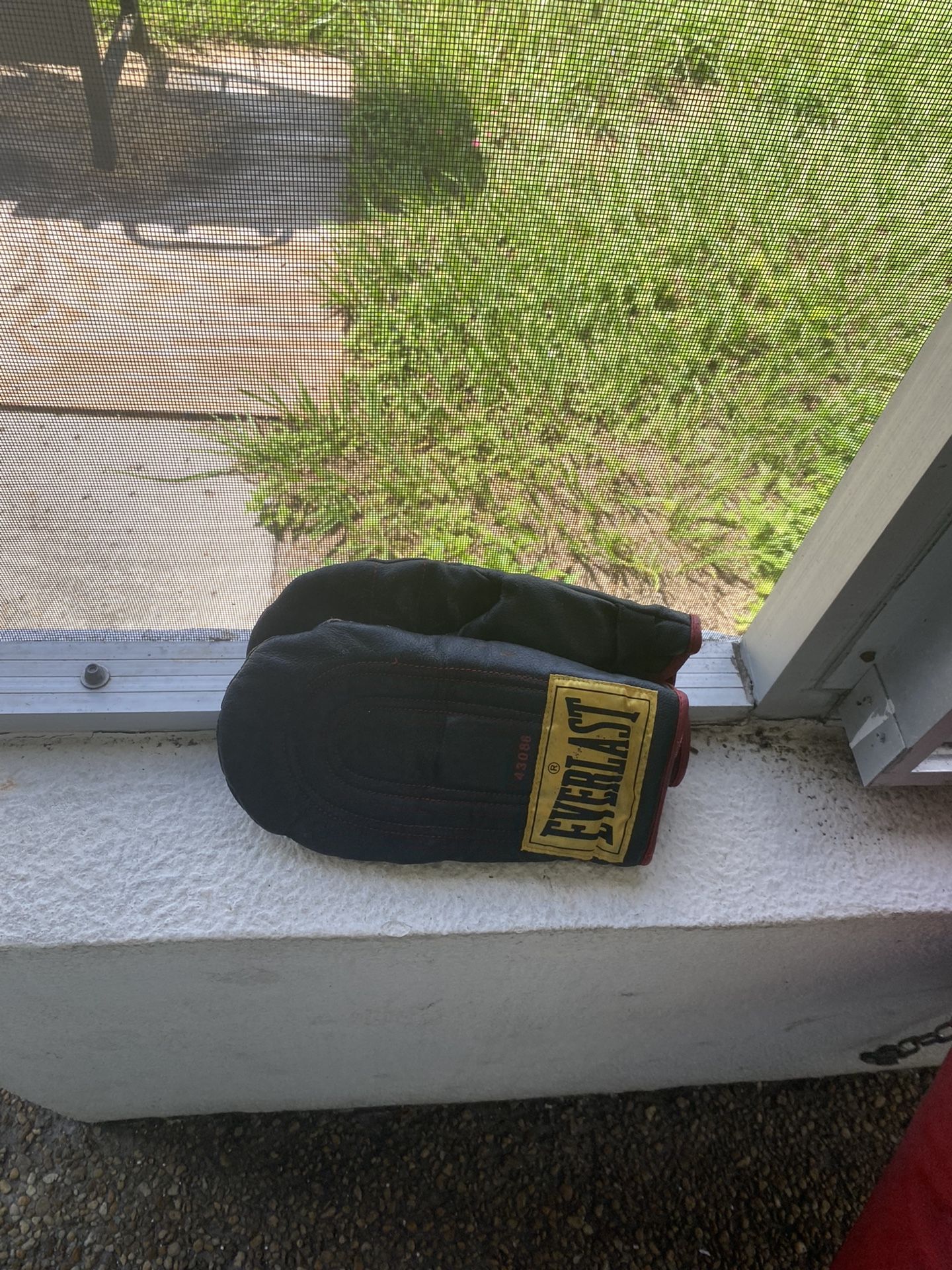 Everlast Punching Bag Professional, Sports & Outdoors