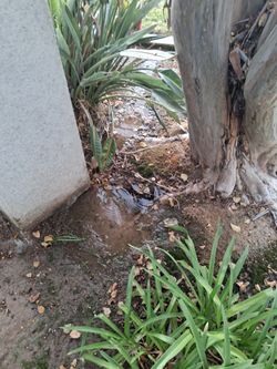 SPRINKLER ☆☆☆☆R3PAIR 