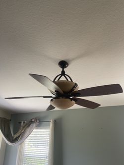 Ceiling Fan