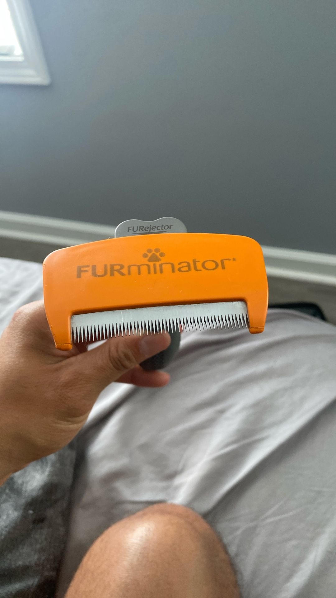 Furminator Short Hair Deshedding Brush