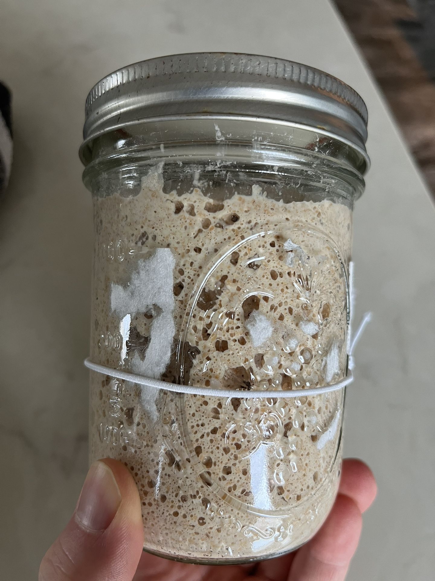 Very Active Sourdough Starter Jar