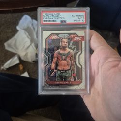 Sugar Sean Omalley Psa Authentic Autograph