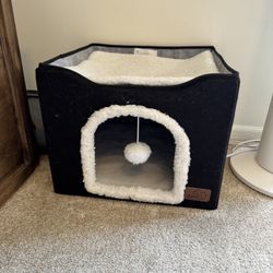 Cathouse With Scratching Board