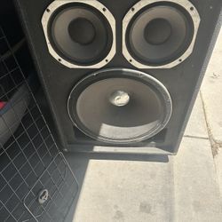 Bass Cabinet