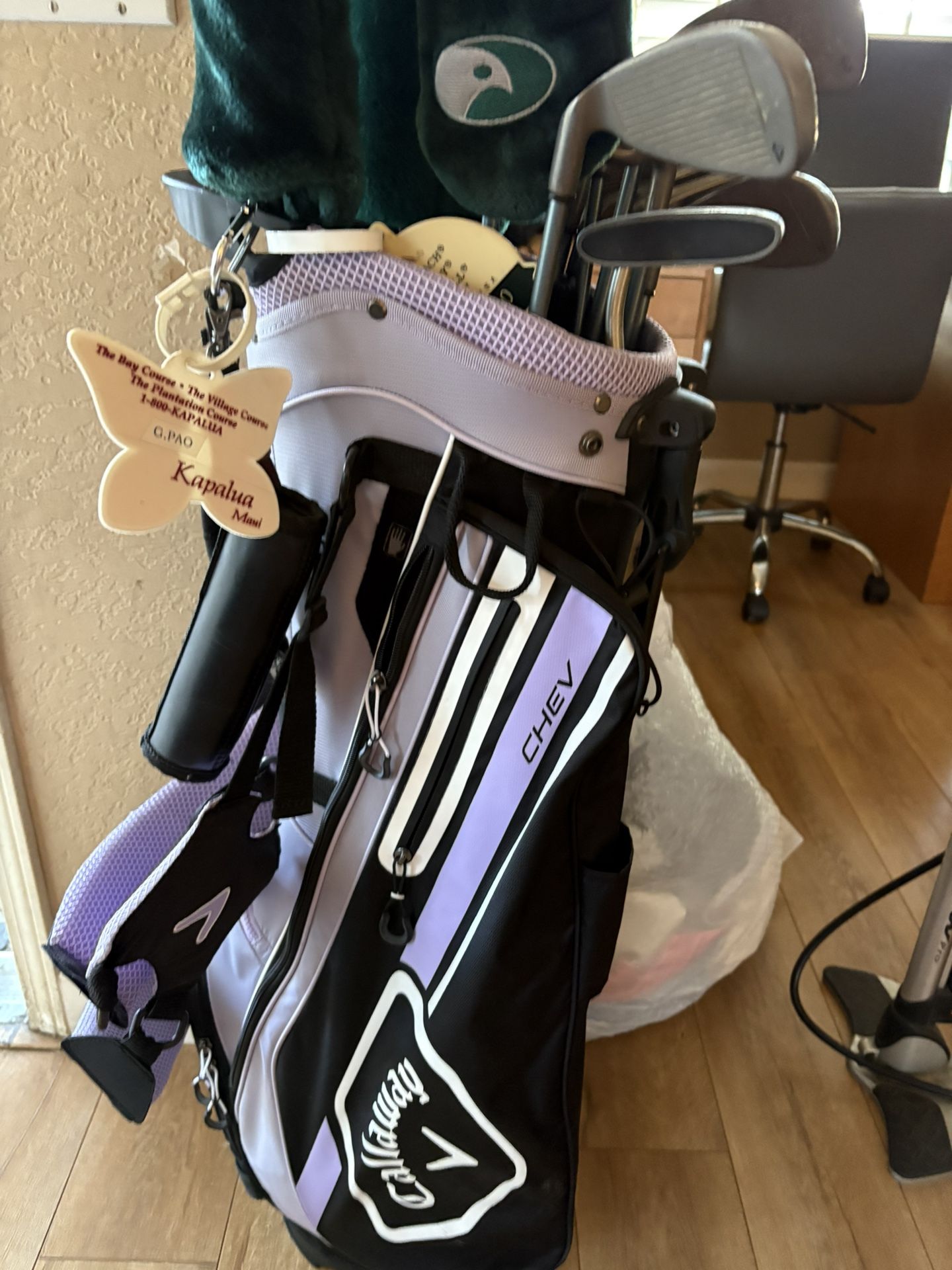 Women’s golf bag loaded with all the iron she’ll ever need