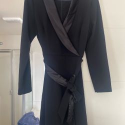 Adrianna Papell Dress Size 12