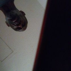 Cemetery Plots For Sale At Belmont Memorial Park.