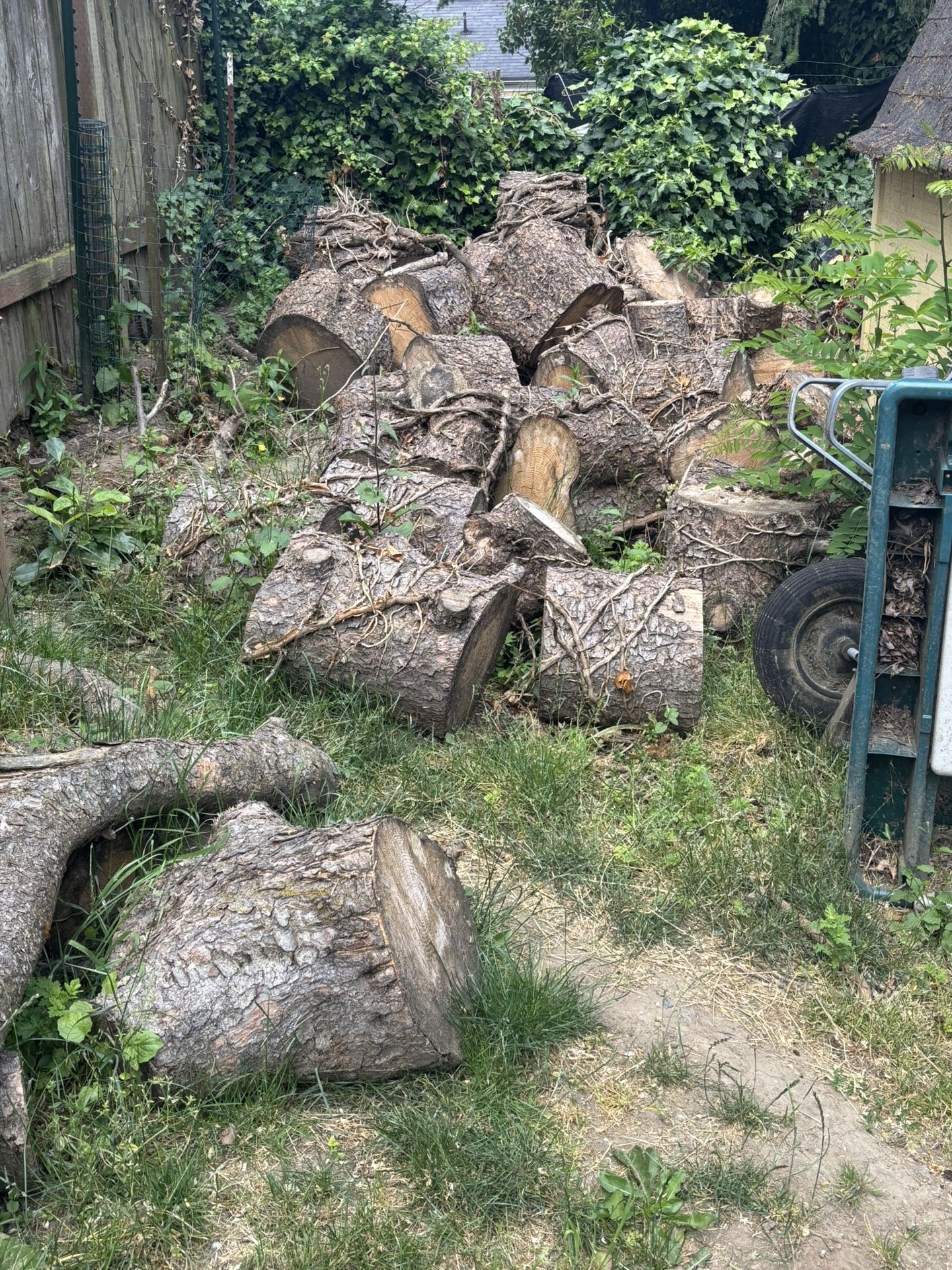 Firewood