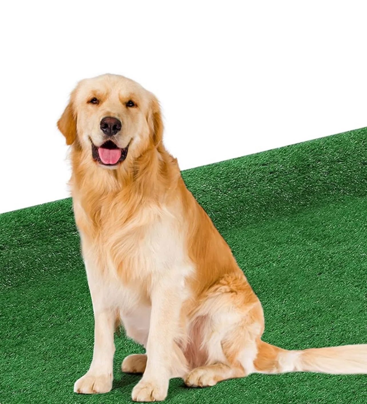 New Artificial Turf Liquidation Sale - Alpine