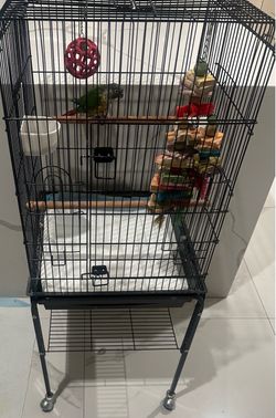 Green check conure cage from petco